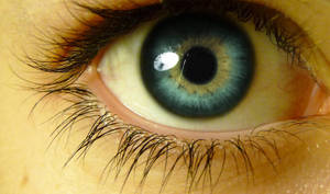 Behind You. by sakgaa