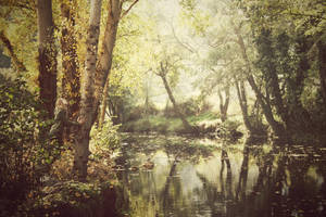 Fell down in the autumn by sakgaa