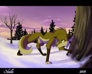 Dawn by Skailla