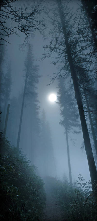 cold atmosphere by iacobvasile