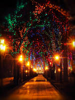 Wonder avenue by A-s-y-a