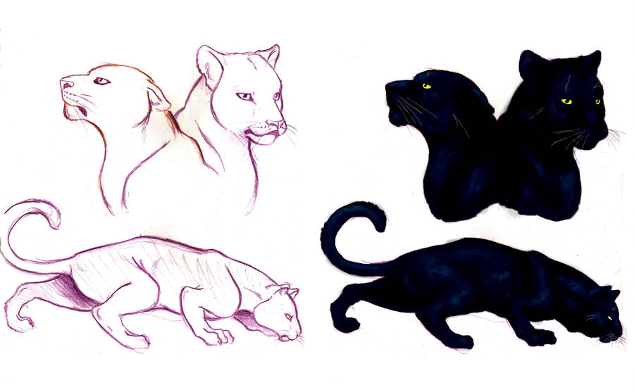 The Jungle Book- Bagheera by J-e-J-e