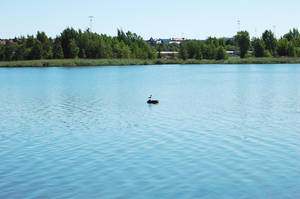 Property of One by Cadence-of-Discord