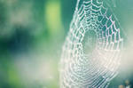 Spider Web by pashia