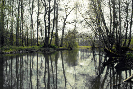 River Stock 3 by Sed-rah-Stock
