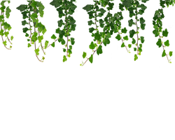 LAZOS PNG By Pinwinabelieber On DeviantArt lazos-png-by-pinwinabelieber-on-deviantart