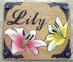 Wooden Plaque commissions by Farumir