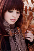 Orange Autumn by branislavboda