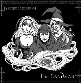 The Sandman: Witches by daekazu