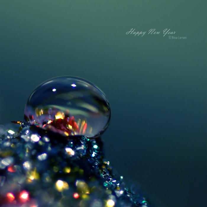 Happy New Year by ninazdesign