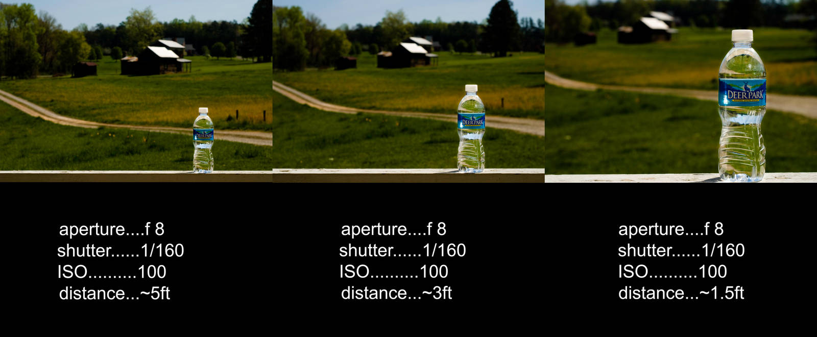 Depth of Field 2 by killrb323