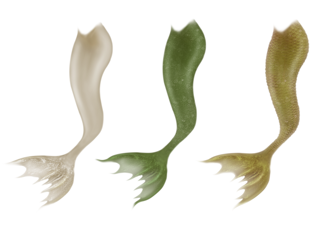 Wavy Mermaid Tails by JinxMim