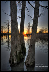 Sunset Through Cypress 2 by Karl-B