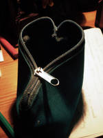 love pocket 2 by Fall-Out-M