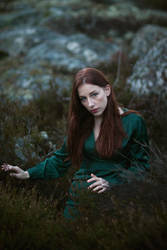 Into the Woods II by sofiawilhelmina