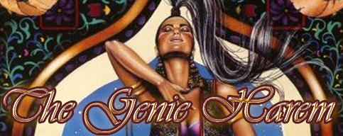 The Genie Harem by hachimitsu-ink The Genie Harem by hachimitsu-ink