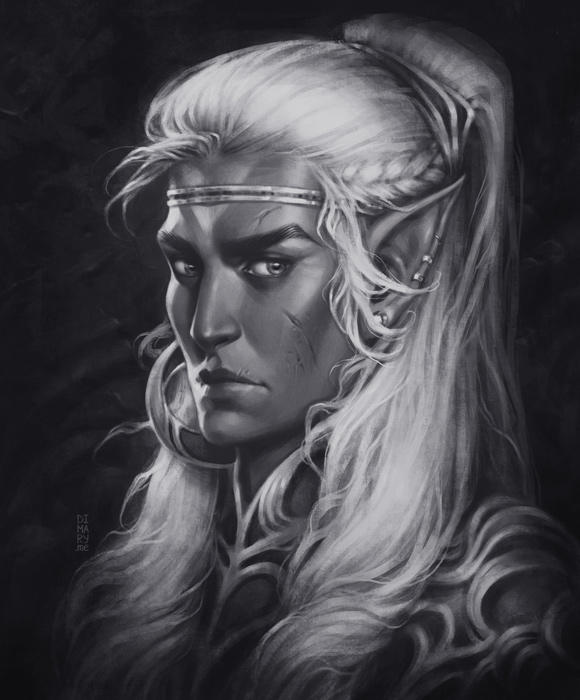 Dark Elf by dimary