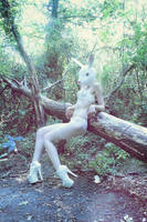 Bunny by SallehSparrowPhotos