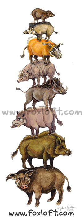 Pig Stack by Foxfeather248