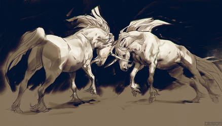 Unicorn Fight by akreon