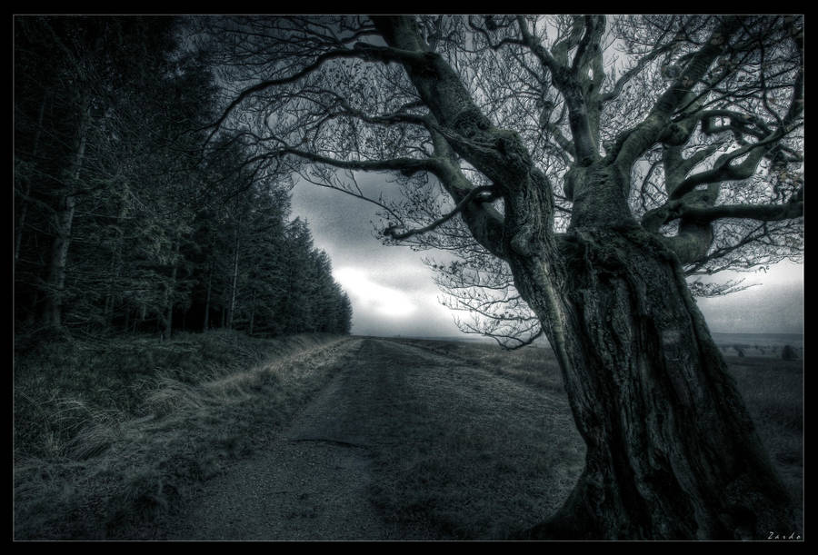 Dead zone by zardo