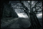 Dead zone by zardo