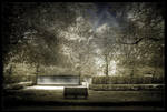 Golden seat by zardo