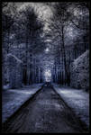 Let's walk through forests... by zardo
