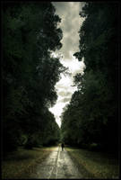 World is in front of me by zardo