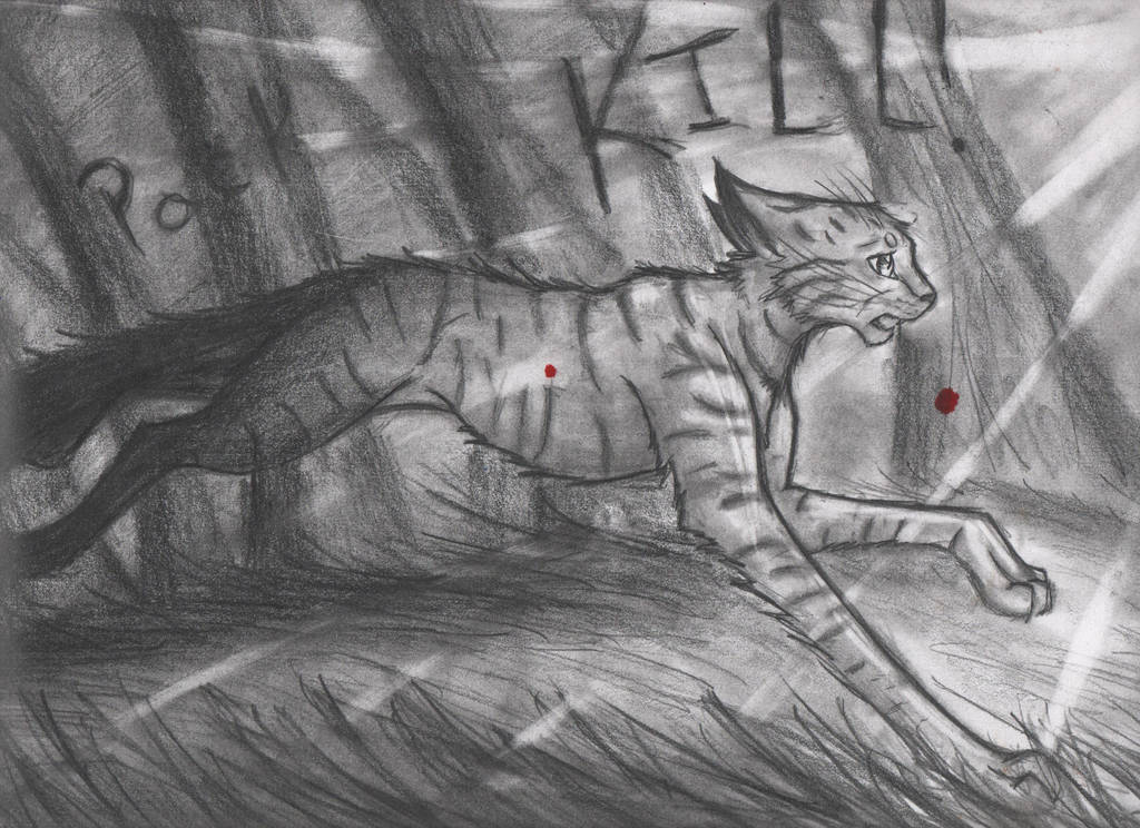 Fireheart's Race by WarriorapprenticeKat