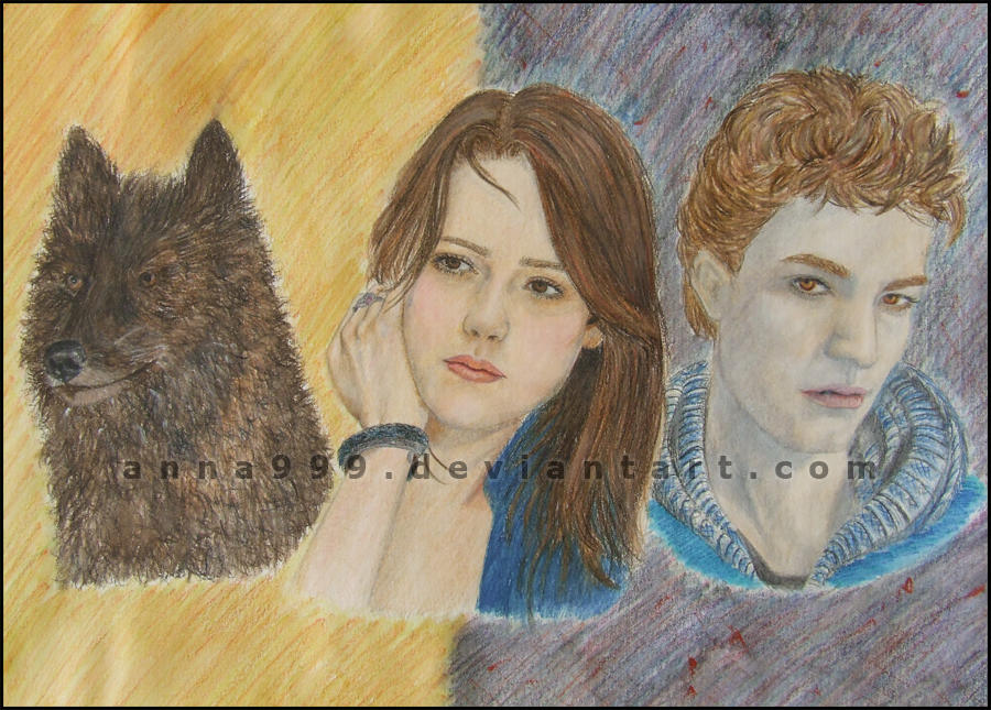Fire and Ice by Anna999