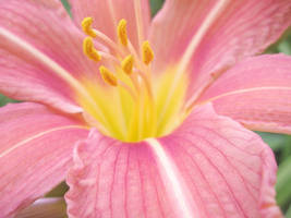 Let's go into the Twilight by in-fer-nal