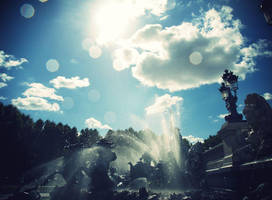 Bordeaux by in-fer-nal