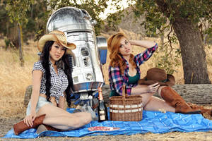 Hillbilly Picnic with R2D2 by VampBeauty