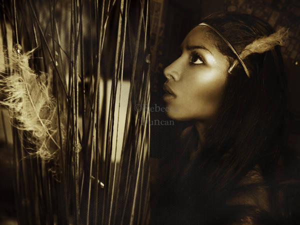 The Indian Dream.. by spineless-splendour