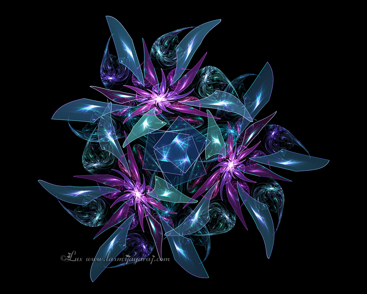Some Flowers by LaxmiJayaraj