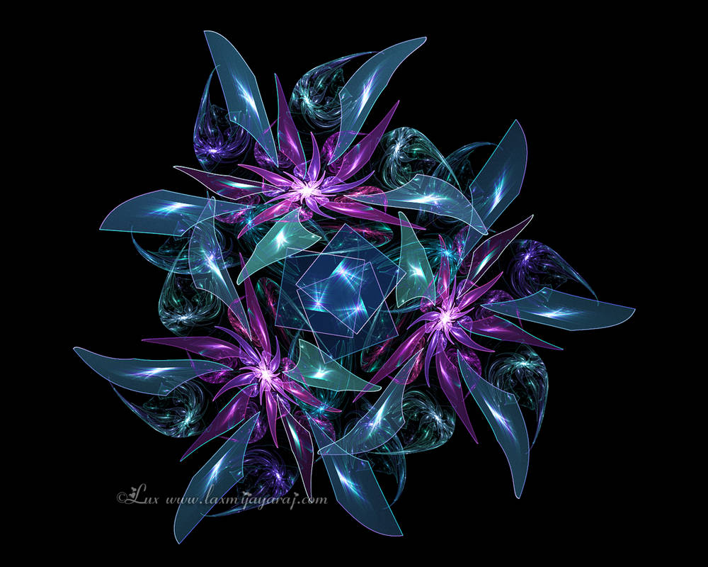 Some Flowers by LaxmiJayaraj