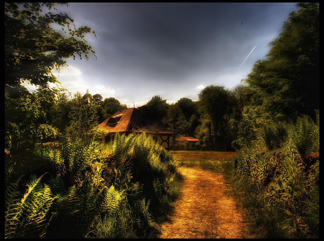 Enter the glade by Riot23
