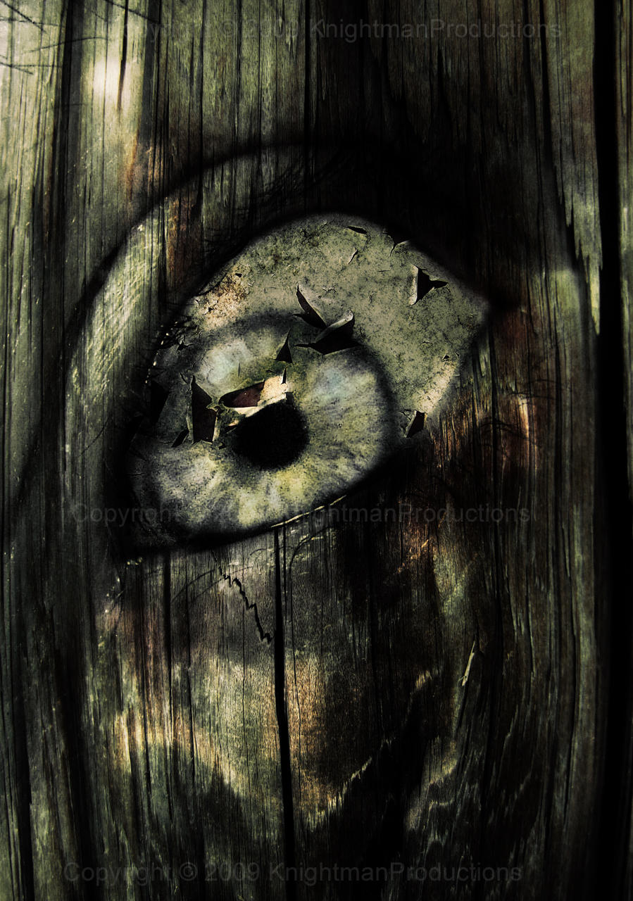 Looking in At You by KnightFlyte96