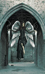 Angel Or Demon by KnightFlyte96
