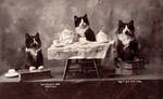 Waiting For Tea by Yesterdays-Paper