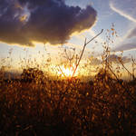 Golden Sunset by LorenzoDiFolco