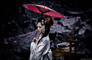 A Day, a Lifetime. by zemotion