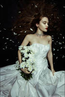 Cold Flowers IV by zemotion