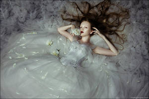 Cold Flowers VI by zemotion