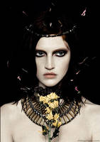 Motherland Chronicles #5 - The Fifth by zemotion