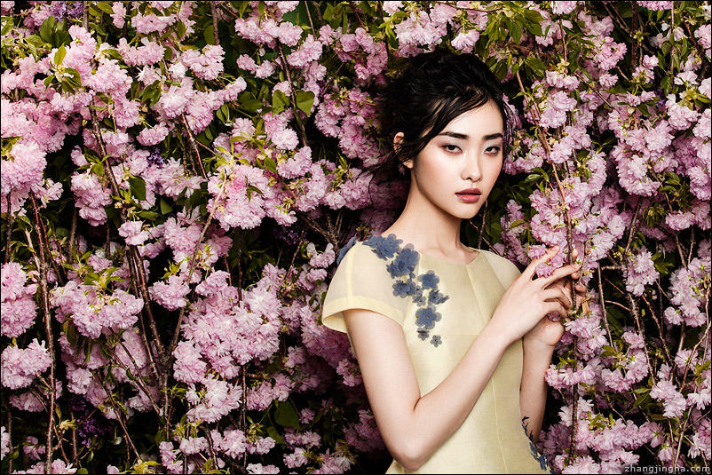 Season of Bloom by zemotion