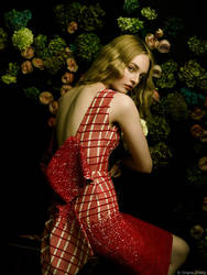 Aurora II by zemotion