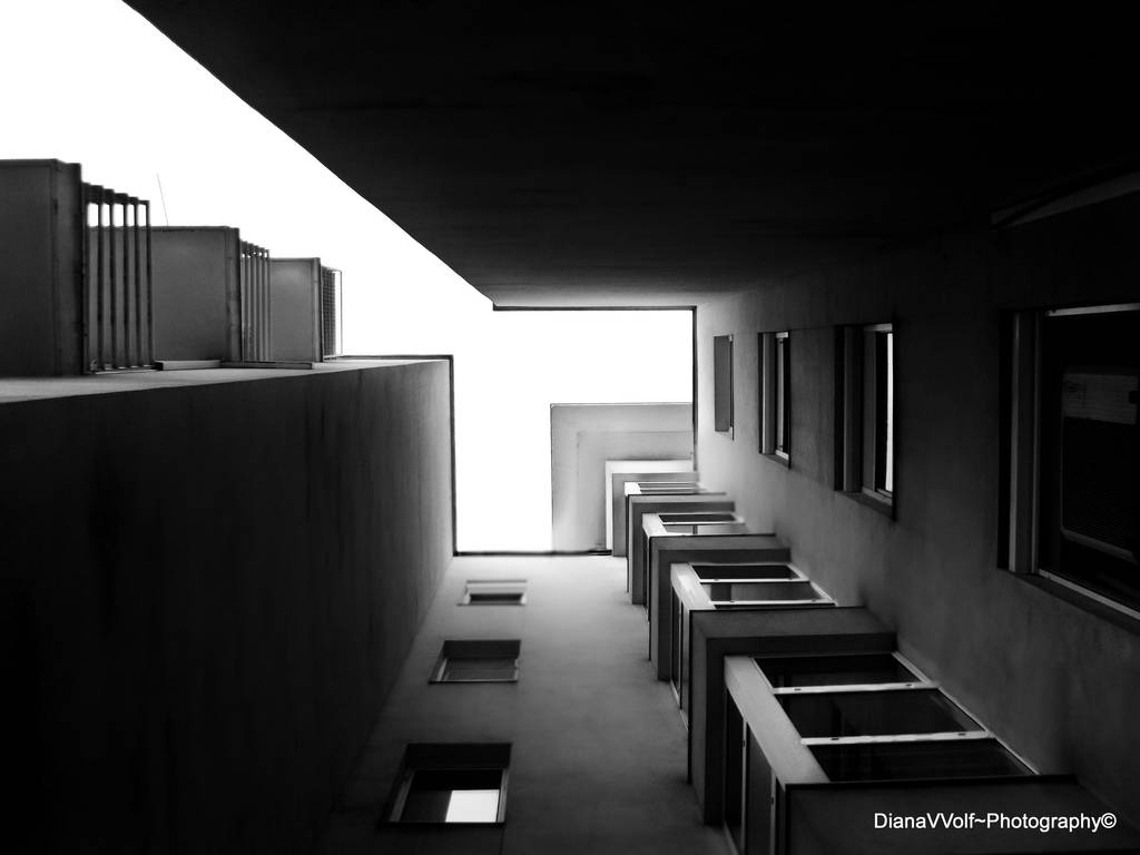 Illumination by DianaVVolf