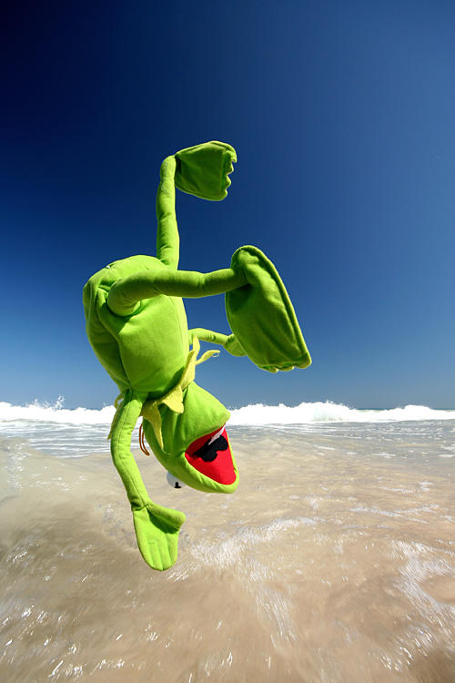 kermit vs dick pound by bryan-cuttance